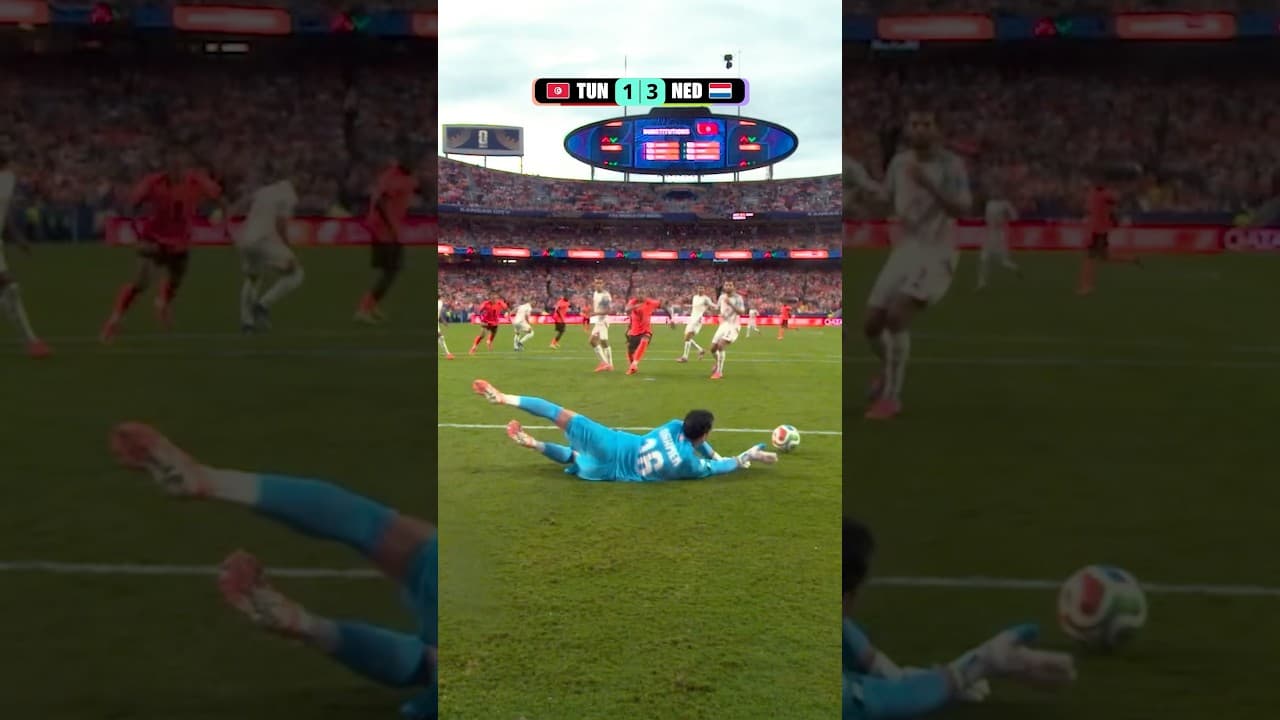 Tunisia 🆚 Netherlands #FIFAWorldCupOnYT #shorts #worldcup