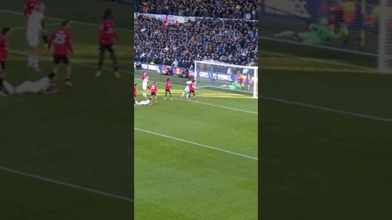 INCREDIBLE Dive By Senne! 🤿😲